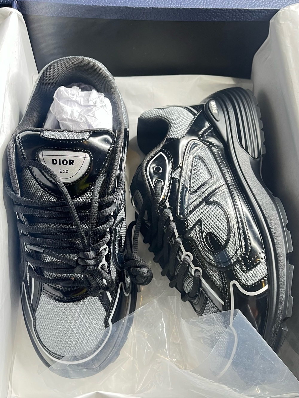 dior b30 trainers
